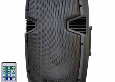 Aktywna kolumna iGO System SSP2112AU